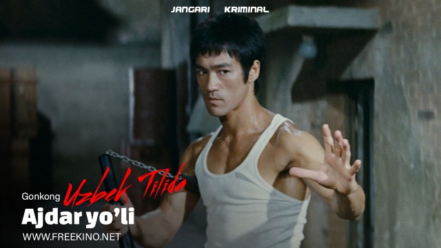 Ajdar yo'li (1972) backdrop