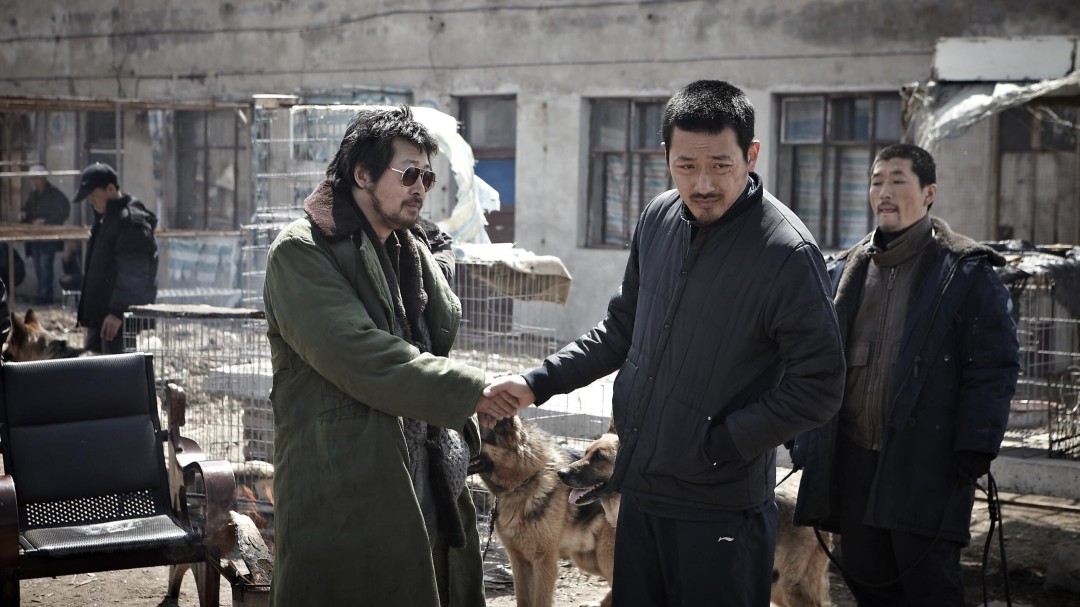 Sariq dengiz backdrop