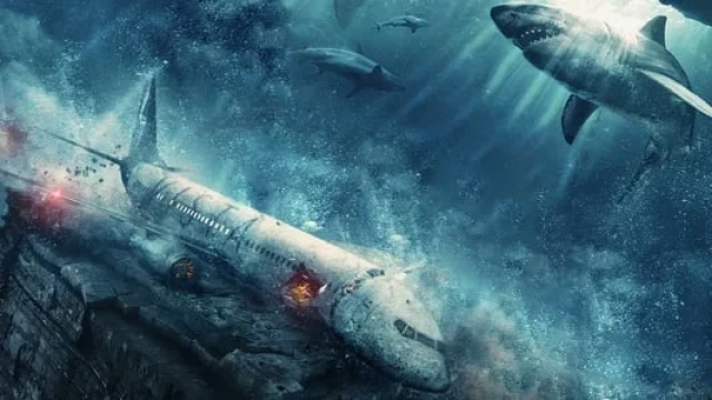 Ummon tubida / Chuqurlikda / Yuqoriga yo'l yo'q backdrop