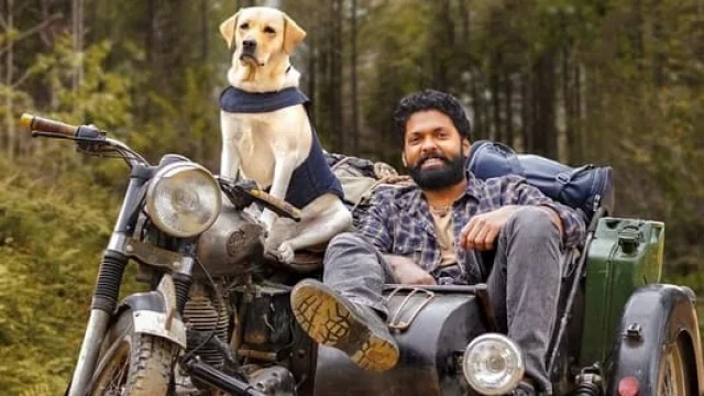 777 Charli / Charli laqabli it backdrop