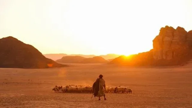 Echki hayoti backdrop