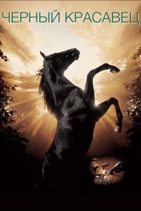 Qora go'zallik / Qora toychoq