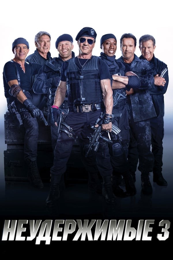 Poster of Chegarasiz 3 movie