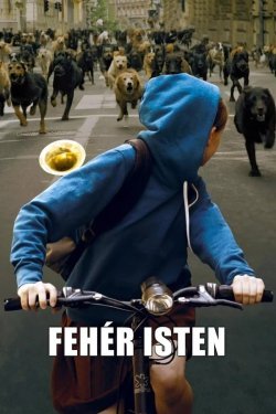 Poster of Do'stim hagen movie