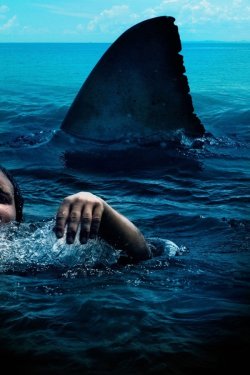 Ochiq dengiz: Yangi qurbonlar poster