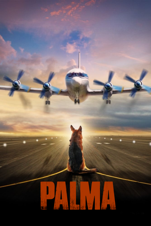 Poster of Palma / Vafoli it movie