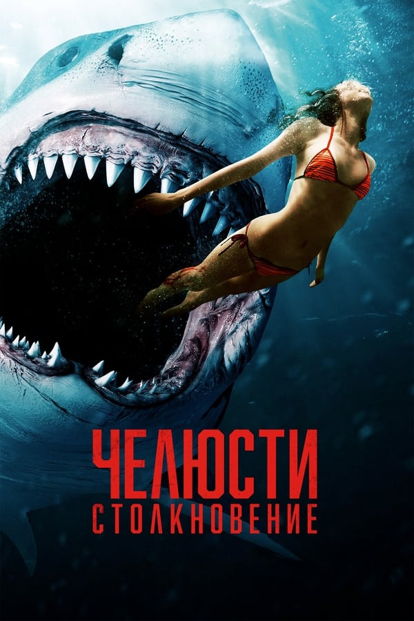 Poster of Qonxo'r akula movie