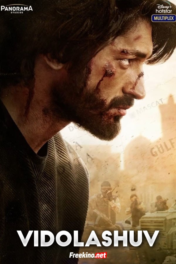 Poster of Vidolashuv movie