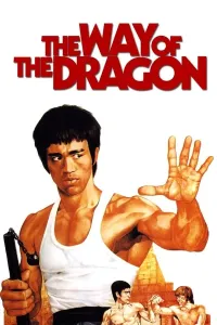 Ajdar yo'li (1972) poster