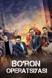 Bo'ron operatsiyasi / Shtorm L poster