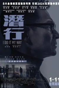 Ikki yoqlama o'yin poster