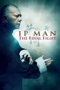 Ip Man: So'ngi olishuv (2013) poster