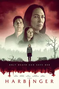 Jodulangan qiz poster