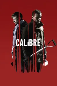 Kalibr / Colibr poster