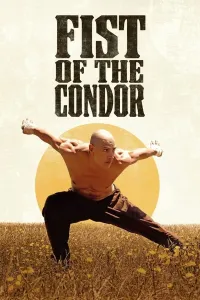 Kondorning mushti poster