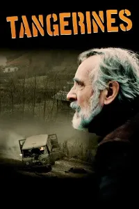Mandarinlar (2013) poster