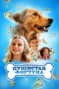 Momiq omad / Mo'ynali boylik poster