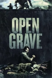 Ochiq qolgan qabr (2013) poster