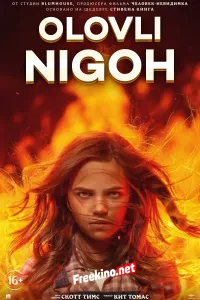 Olovli nigoh (2022) poster