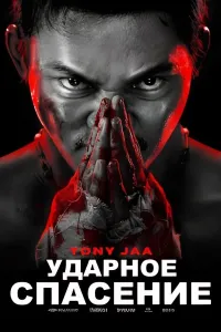 Qutqaruv zarbasi poster