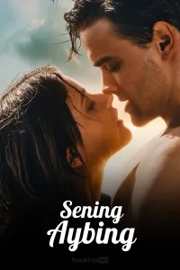 Sening aybing poster