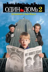 Uyda yolg'iz 2: Nyu Yorkda adashgan (1992) poster