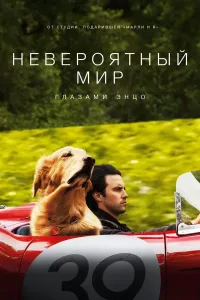 Yomg'irdagi poyga sa'nati (2019) poster