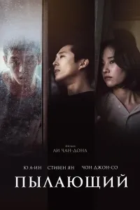 Yongan / Yonayotgan / Yonish poster