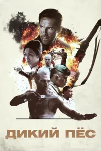Yovvoyi jangchi poster